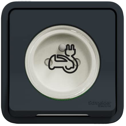 Schneider Electric - Mureva Styl - Prise courant 2P+T renforcee - encastre - IP55 - IK08 - EV - gris - MUR36011