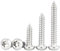 Qrity 25 STÜCKE M6x20mm selbstschneidende Schraube, Torx Flachkopfschrauben, Edelstahl Rundkopf Selbstbohrende Schrauben