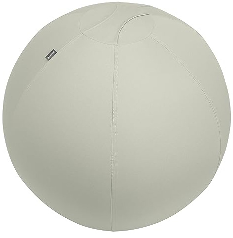 Ballon d'assise Leitz Ergo Active, fonction anti-basculement, alternative ergonomique à la chaise de bureau, diamètre 75 cm, housse en tissu, pompe à air manuelle, 2 bouchons, Gris Clair, 65430085