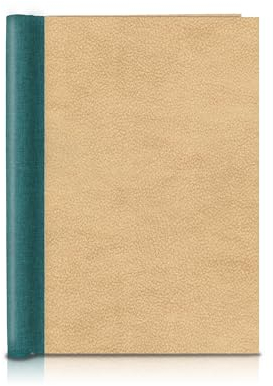 FAIRklemmt Klemmbinder Fancy Shanga Petrol, A4