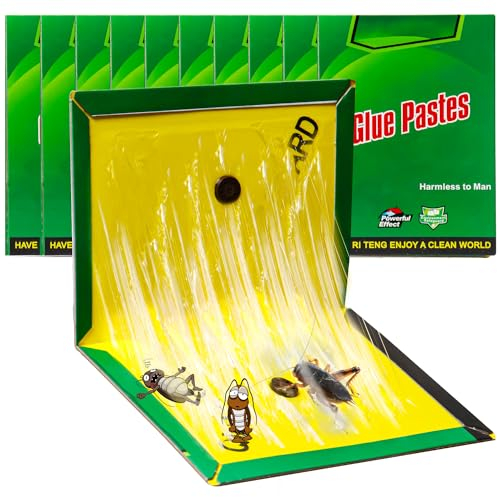 Colle Piege, 10 Pièces 31.5 CM x 21 CM Piège à Colle Plaque Collant, Attrape Professionnel