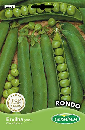 Germisem Rondo Graines de Pois 100 g XXL 5 Multicolore