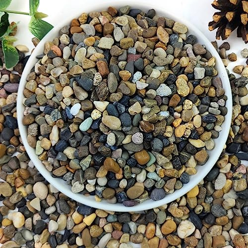 YISZM 20lbs Natural River Rocks, 1/4 Aquarium Gravel Small Rocks for Plants Pea Gravel for Fish Tank, Decorative Pebbles for Gardening, Flower Pots, Vase Fillers, Indoor Water Fountains, Landscaping