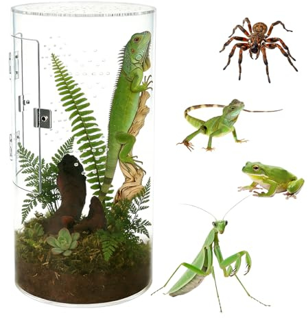 GOEDCH 15 x 16 x 30 cm cylindriskt terrarium: Akrylterrarium, stabil konstruktion 360° Panoramaterrarium, reptiler faunabox, för smådjur och observation