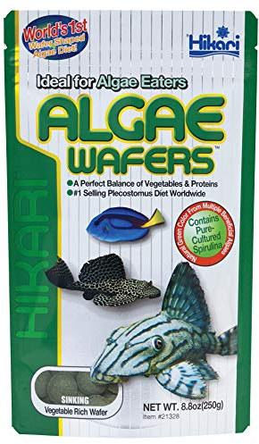 Hikari Usa Inc AHK21328 tropical Algae Wafer 8.8-Ounce