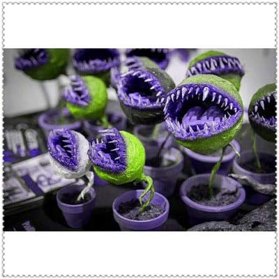 150 Pezzi in Vaso Insettivori Clip per Sementi Gigante Venere Acchiappamosche per la casa Giardino: 13: Semi