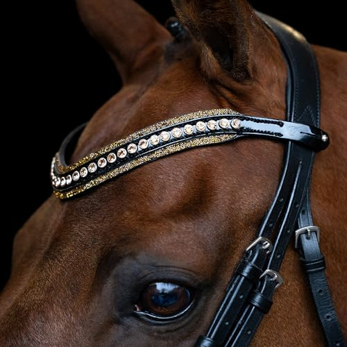 Imperial Riding pannband IRH Maxima, pannband av läder med glasstrass och pennlås, brun, cob