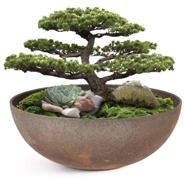 Matches21 Pot de fleurs décoratif pour l'extérieur, aspect rouille, marron rouille, pot de fleurs, haut de 19 cm, pour jardin, balcon ou cimetière comme bijou funéraire