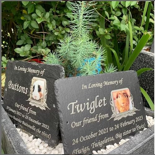 Grave Memorial Plaque with Photo for Dog, Cat, Hamster, Rabbit, Lizard, Parrot, Guinea Pig 23cm x 16cm, with Stake, Rope Hanging or Ground or Wall Mounted options.