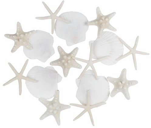 Jangostor 15 Piezas Estrellas de mar Conchas Naturales, 5-9 cm Estrella de mar híbrida Blanco Conchas Marinas para Artesanías Bodas decoran Fiestas temáticas de Playa, peceras y Rellenos de jarrones