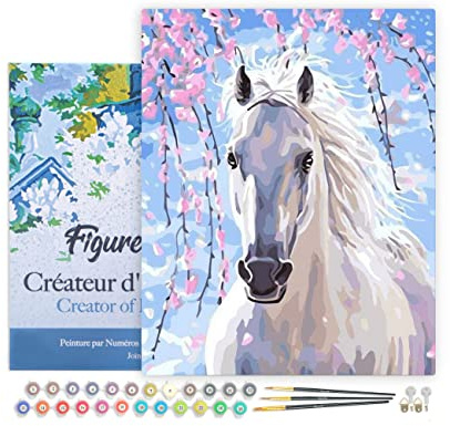 Figured'Art Peinture par Numéro Adulte avec Cadre Cheval et Fleurs blanches - Activité Manuelle Kit de Loisir Créatif DIY Numéro d'Art Complet - 40x50cm toile tendue sur châssis