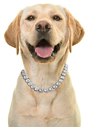 Halukakah Goldkette Geclustert Diamant für Große Hunde,Tenniskette Halskette Kragen Platin Weißgold Überzogen VVS Qualität Labor Diamanten Klar Farbe 60cm Größe mit Geschenkbox,Nur Dekoration