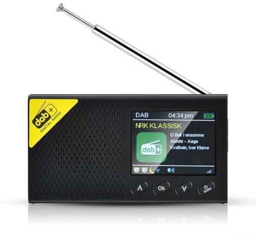 Radio DAB, portable, radio numérique FM/DAB Plus avec batterie BLE rechargeable par USB, petite radio LCD, 20 préréglages