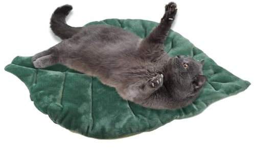 Ranley Washable Cat Bed | Cat Sleeping Place Soft Cat Mat, Sleeping Cushion Washable for Indoor Transport Box Car Seat Travel Camping Couch Floor Transport Box Couch Car Travel Camping