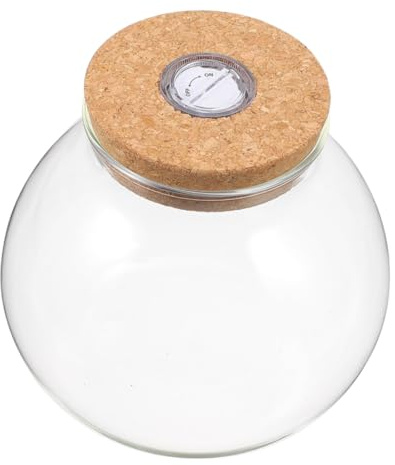 Mikikit Station de Propagation Hydroponique Verre avec Lumière Vase Terrarium Compact pour Plantes Intérieur Décoration de Bureau et Maison avec Bouchon Liège