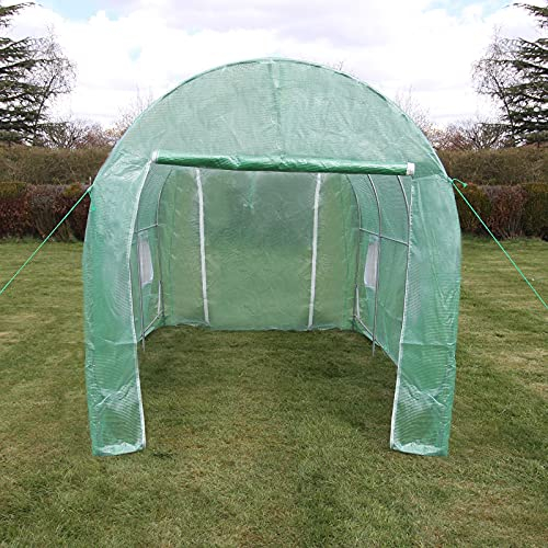 Monster Shop Polytunnel mit Folie Gewächshaus Treibhaus Tomatenhaus Pflanzenhaus Folientunnel 19mm 3m x 2m Grün