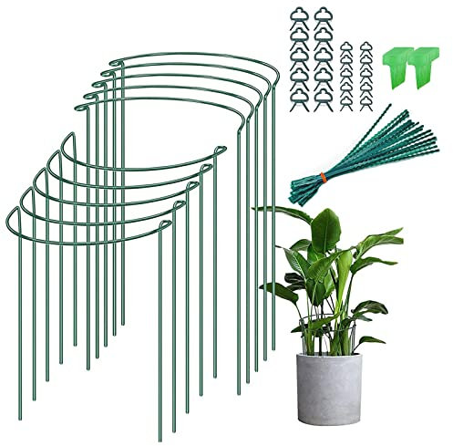Humbgo Metal Half-Round Plant Supports for Garden - 10 Pcs 25x40cm Tall Plant Support Stakes with 20 Plant Clips and Ties for Peonies Vegetables Tomatos Hydrangea Rose Outdoor Indoor Plant Climbing