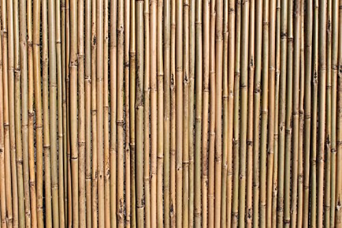 Heavy Duty Bamboo Garden Screening Fencing Rolls 1.8M Tall and 2M Long -Thick 25-28mm Bamboo Canes