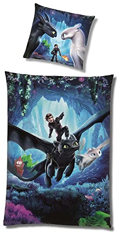 Familando Warme Dragons Bettwäsche für Jungen · Fleece Kinderbettwäsche 135x200 80x80 cm · extra weiche Kuschel-Bettwäsche · Winterbettwäsche mit Motiv Drachenzähmen leicht gemacht