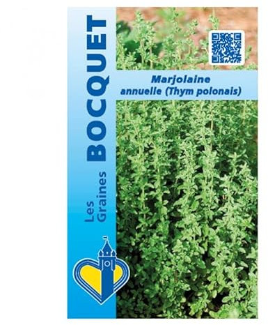 Sachet de graines de Marjolaine Annuelle (Thym Polonais) - 0,7 g - légume feuille - LES GRAINES BOCQUET