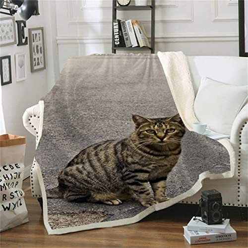 Überwurfdecke mit Katzen-Motiv, weich, flauschig und bequem, Fleecedecke (130 x 150 cm), 3D-Druck