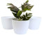 Home Garden Ornaments Plant Pots Indoor – Indoor Plant Pot for Home and Garden, Decorative Striped Set of 3 Flower Pots (Diameter 18cm, White)