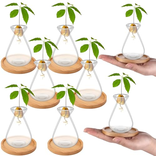 Haiabei 6Pcs Small Avocado Seed Starter Vase with Bamboo Base Avocado Tree Growing Vase Kit Avocado Seed Sprout Starter Vase Planter Pot Easy Seed Gift Plant Glass for Acorn Garlic Vines Root Seeds