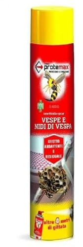 VESPE E NIDI DI VESPE INSETTICIDA SPRAY (24)