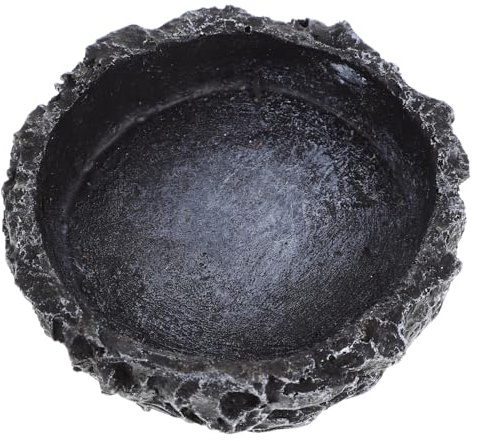 SHINEOFI Bol Eau pour Reptiles Résistant à Usure Plat Décoratif Naturel pour Tortues Lézards et Serpents Accessoire pour Alimentation et Terrariums