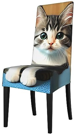 YYHWHJDE Aekgohp, coprisedia rimovibili per sala da pranzo, motivo gattino, morbido, confortevole, resistente alle pieghe, non necessita di stiratura, elasticizzato per la maggior parte delle sedie