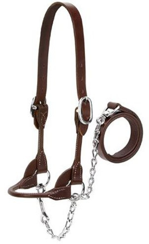 Weaver Leather Livestock Dairy/Beef Rounded Show Halter, Brown, X-Small
