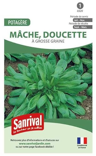 Graines Mâche à grosse graines (Doucette)