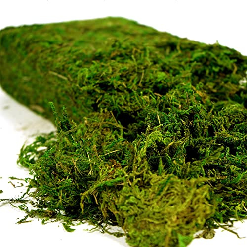 USMOLA Artificial Moss 16oz – Fake Moss for Crafts, Fairy Gardens, Wedding & Party Decor, Centerpieces & Potted Plants (Fresh Green, 455g)