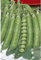 Semillas hortícolas - Guisante alderman mata alta 250gr - Mascarell