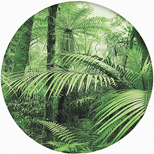 Rainforest Decor Round Fitted Tablecloth Cover,Palm Trees Exotic Plants in Tropical Jungle Elastic Edged Polyester Fitted Table Cover, XXLarge, Fit Round Tables up 65-71 Diameter,for Kitchen Dining