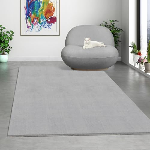 Mia´s Mattor komfort modern fluffig kort lugg matta, halkfri undersida, tvättbar upp till 30 grader, supermjuk pälsoptik, grå, 160 x 220 cm