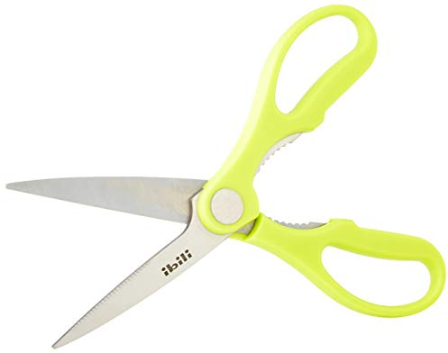 IBILI 704904 Ciseaux de Cuisine Classico, Acier Inoxydable, Argent/Vert, 21.5 x 8.8 x 1.2 cm
