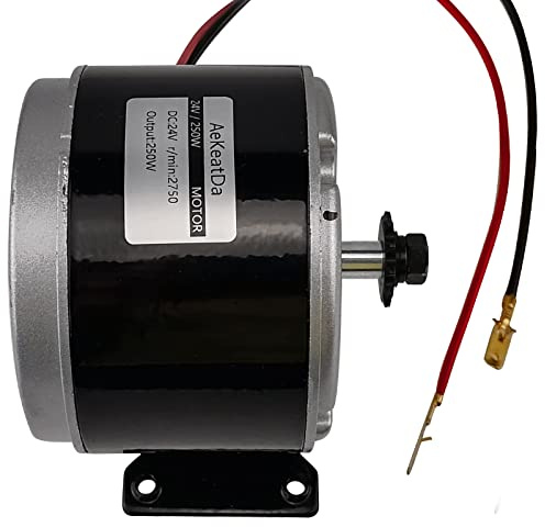 24V 250W Permanent Magnet Brushed DC Motor for DIY Generator Projects