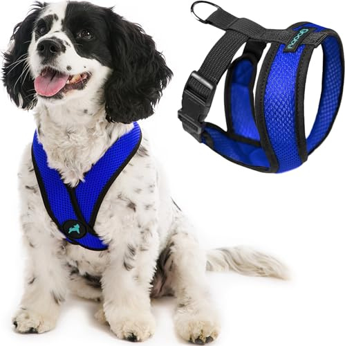 Gooby Comfort X Head-in Dog Harness, Choke-Free, Blue, Large