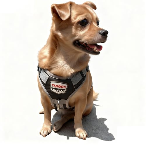 Ditwis Harnais Chien de Chiens Grand, avec Deux Poches, Harnais Anti Traction pour Chien, Harnais Ajustable pour Le Dressage et Les Promenades, Noir, Taille M