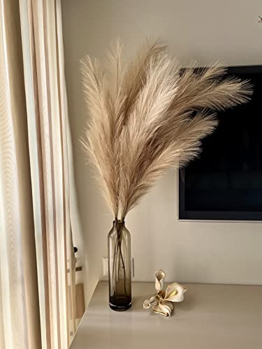 Chousse 43 / 3.6 ft Pampas Grass Tall 4 Pcs - Artificial Large Pampas Grass Decor for Floor Vase, Room Decor, Home Decor, Boho Decor (Coffee & Cream)