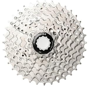 DONGLING Cassettes Y PiñOnes Cassette de Rueda Libre de 8 velocidades, 11-25T, 28T, 32T, 40T, 42T, Compatible con Bicicletas de montaña MTB, Piezas de Bicicleta de 8 V Rueda Libre(8S 11-36T)
