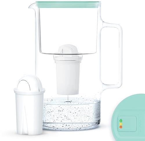 Wessper Wasserfilterkanne aus Glas 3L mit Manuelle Filterverschleißanzeige | Ersatz für Aquaphor Standard, Brita Classic, Dafi Classic Filterkartusche | Inklusive Wasserfilterkanne +1 Kartusche, Minze