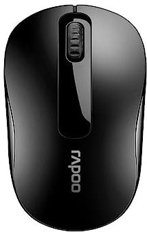 Rapoo M10 Plus kabellose Maus wireless Mouse 2.4 GHz Computermaus 1000 DPI Sensor 12 Monate Batterielaufzeit ergonomisch für PC & Mac - schwarz
