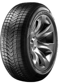 SUNNY - 205/55 R16 TL 94V NC501 XL M+S 3PMSF - Ganzjahresreifen