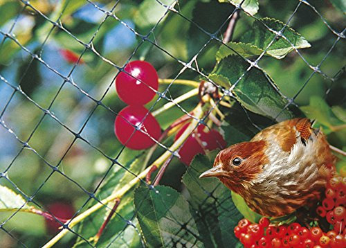 VERDELOOK Rete per Copertura e Protezione Uccelli, 4x10 m, in Rotolo, Rete Antivolatili