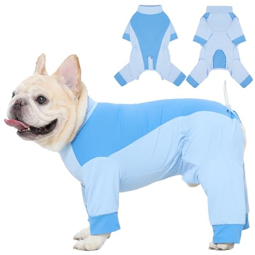IECOii Chemise de protection solaire pour chien, combinaison d'été rafraîchissante UPF 50+, combinaison respirante à séchage rapide pour petits chiens, vêtements pour animaux de compagnie pour l'été