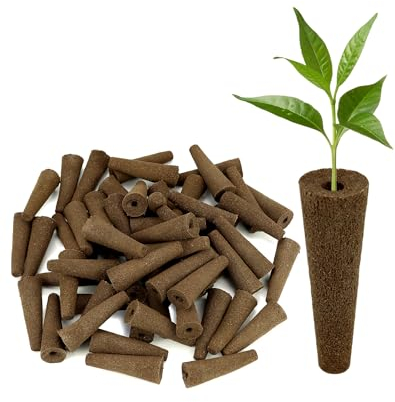 QWORK® 60er-Pack Ersatz-Zuchtschwämme für Hydroponisches Anzuchtsystem für Indoor und Garden