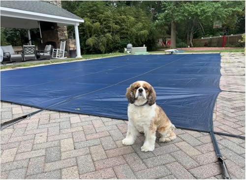 SAFWELAU Dustproof Pool Protector Pool Cover Winter Inground Pool Safety Cover for Rectangle/Oval/Kidney Shaped Pools, High Strength PP Mesh, Solid Safety Pool Covers, Hardware Included(5m x 10m/16ft