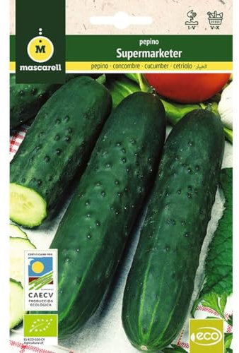 Mascarell Semillas, PEPINO MARKETMORE 70, Semillas Ecológicas, 3 Gramos
